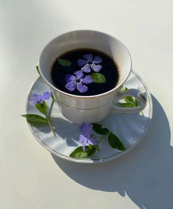 Morning Detox Tea Benefits